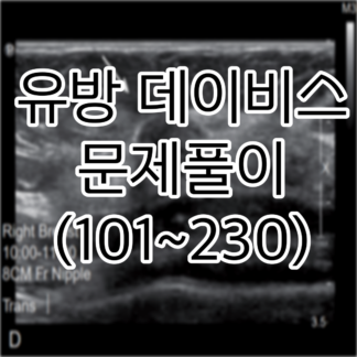 유방데비이스 문제풀이 (101~230)